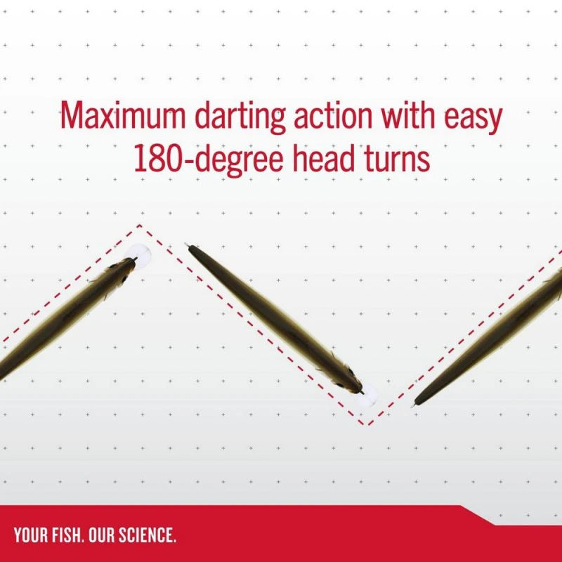 Berkley DEX Stunna 11cm 2 Berkley DEX Stunna 11cm – Bild 2