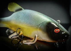 Quantum Freak Of Nature Swimbait Tench 23cm, 270g -Savaga Gear Geschaft 22 3272005r 5