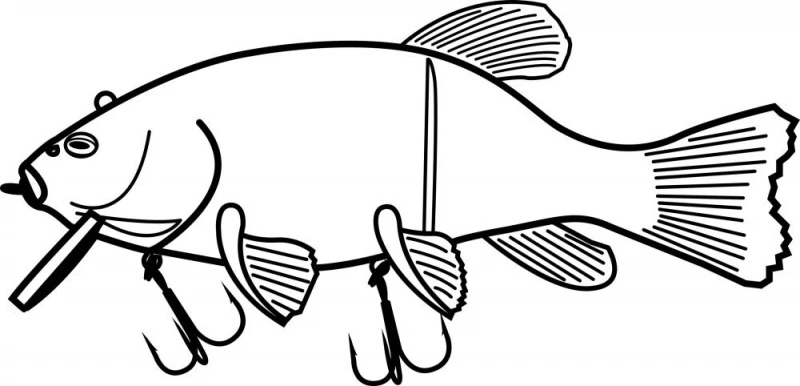 Quantum Freak Of Nature Hybrid Tench 23cm, 175g 4 Quantum Freak Of Nature Hybrid Tench 23cm, 175g – Bild 4