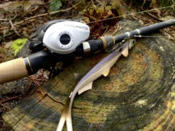 Quantum Accurist Baitcast AT101 HPT 11 Quantum Accurist Baitcast AT101 HPT -Savaga Gear Geschaft 22 570101 6