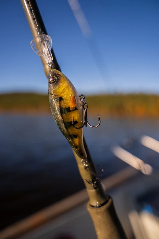 Headbanger Cranky Shad 2 Headbanger Cranky Shad – Bild 2