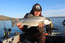 Headbanger Cranky Shad 8 Headbanger Cranky Shad -Savaga Gear Geschaft CS 25 SS BKr 3