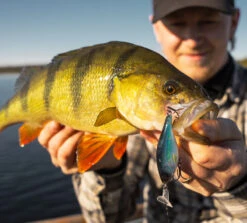 Headbanger Cranky Shad 9 Headbanger Cranky Shad -Savaga Gear Geschaft CS 25 SS BKr 4