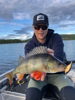 Headbanger Cranky Shad 11 Headbanger Cranky Shad -Savaga Gear Geschaft CS 25 SS BKr 6