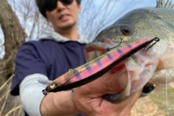 Megabass Vision Oneten LBO 5 Megabass Vision Oneten LBO -Savaga Gear Geschaft MB VOLBO 4513473451171r 3