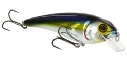 RawBite 11cm 27g Low Floating -Savaga Gear Geschaft WS14112r 4