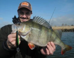 Platypus Deep Runner 10 Cm 7 Platypus Deep Runner 10 Cm -Savaga Gear Geschaft WS17912r 3